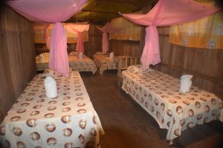 Lodge Jungle Wolf Expeditions - 9