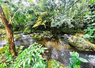 Suíte da cachoeira - Ilhabela - 2