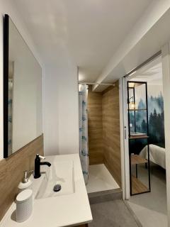 Le Chalet de la Plage - Sevrier - 7