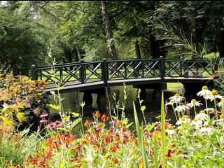 Cozy&central apartment - 2