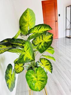 Hospedaje Quepos Tardes Doradas - 1