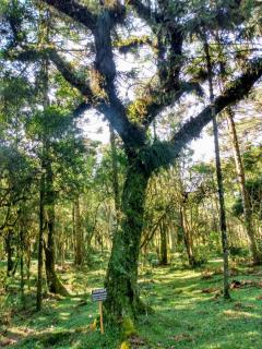 Quinta da Soliran Chalés Rural - 5
