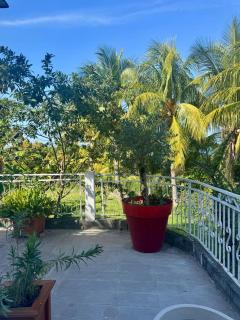 Évasion Tropicale à Vieux-Habitants Logement Entier avec Spa Privatif et Accès Piscine - 7