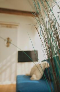 Stylish Central Apt-Private Access, shops, character - 1