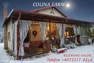 Pensiune Colina Farm - 0