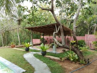 The Secret Coconut Tangalle - 2