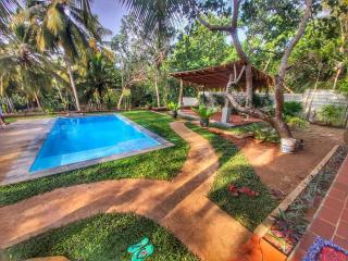 The Secret Coconut Tangalle - 2