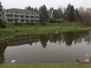 North Star Lodge & Resort - Killington - 4