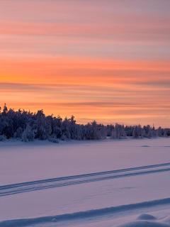 Authentic Log Cottage with Hot Tub - 7