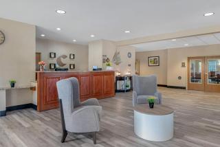 Comfort Suites Lake Geneva East - 8