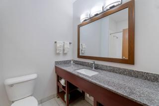 Comfort Suites Lake Geneva East - 5