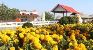 Montana Cotswolds Resort - 1