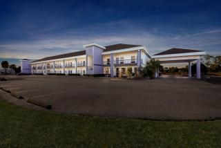 Quality Inn Weeki Wachee - Spring Hill - 7