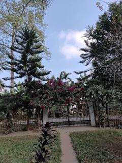 "Dulce Hogar" homestay - 7