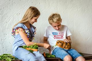 Hanznhof Urlaub auf dem Bauernhof - 1