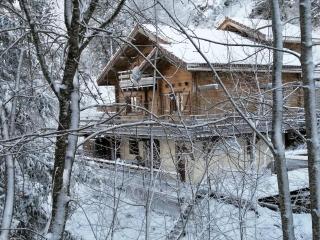 Col de la Faucille Apartment - 0