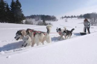 Col de la Faucille Apartment - 4