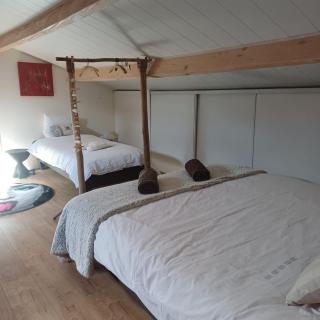 Les Jasmins de Salelles - 2