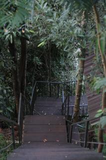 Peaceful Stream Coffee - Homestay - 5