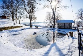 Ferienhof Domäne Groschwitz - 8