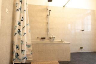 Spacious Zurich flat with game room & pool table - 5