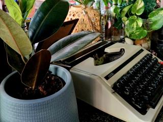 Baan Cozy Boutique Natural Wellness Chiang Mai - 1