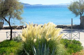 Oasis apartment 1 - 4