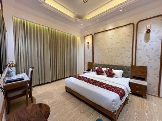 Hotel Virasat-E-Bushahr - 9