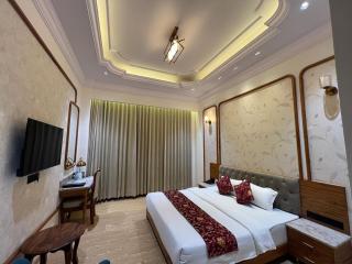 Hotel Virasat-E-Bushahr - 8