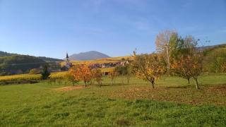 Chez Yolande - Nothalten - 5