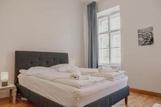 Sweet 3BR Retreat Steps from Belvedere Palace - 9