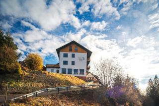 Boutique Hotel & Aparmtents Pension Sternen - 8