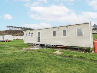 Brynowen Holiday Park - 22432 - 9
