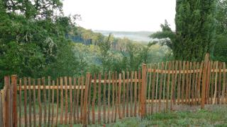 La baignade aux iris - 7