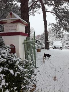 B & B Millefiori - 1