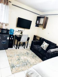 Boston home, Serene apartment with comfort - 5