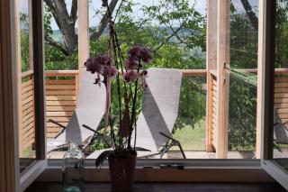 Kellerstöckl Pachler - 2