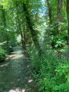 Domaine des Moinets - 9