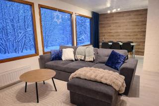 3 Bedroom House near Santa Village with Sauna - 0