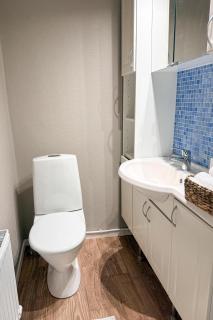 3 Bedroom House near Santa Village with Sauna - 9