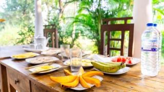 Sigiri Binara Villa - 6