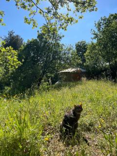 La Parenthèse - Spa et billard - Se ressourcer entre ville et forêt - 1