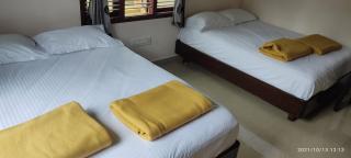 Darimane Homestay - 1