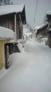 Swastik Homestay - 1