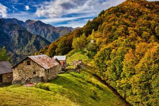 Stones and Pines - 3