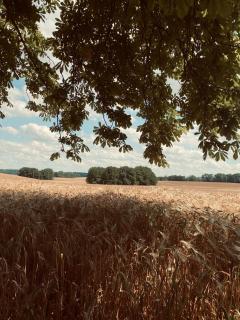 Tiny House Jovana - 7