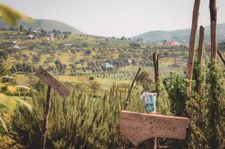 Bihogo Farmland B&B - 6