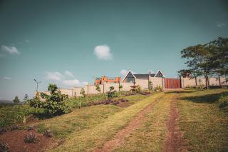 Bihogo Farmland B&B - 8