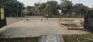 GoArT family restaurant and resort - 5