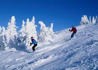 The Chateau Resort - Tannersville - 4